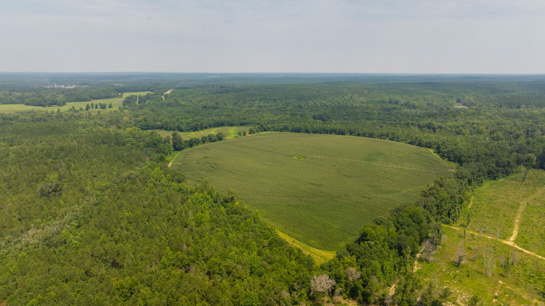 Image for The Minick Place - 204+/- Total Acres - Premium Recreational Tract - Row Crop Farmland - Choctahatchee Creek Frontage