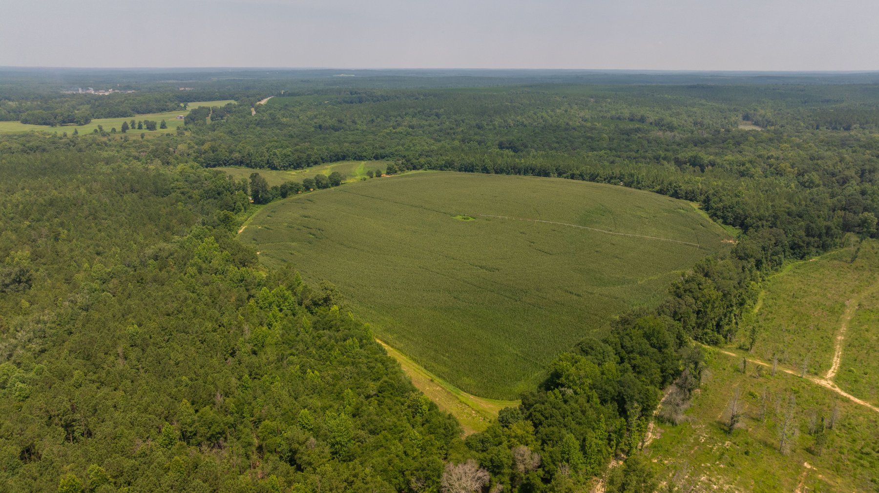 Image for The Minick Place - 204+/- Total Acres - Premium Recreational Tract - Row Crop Farmland - Choctahatchee Creek Frontage