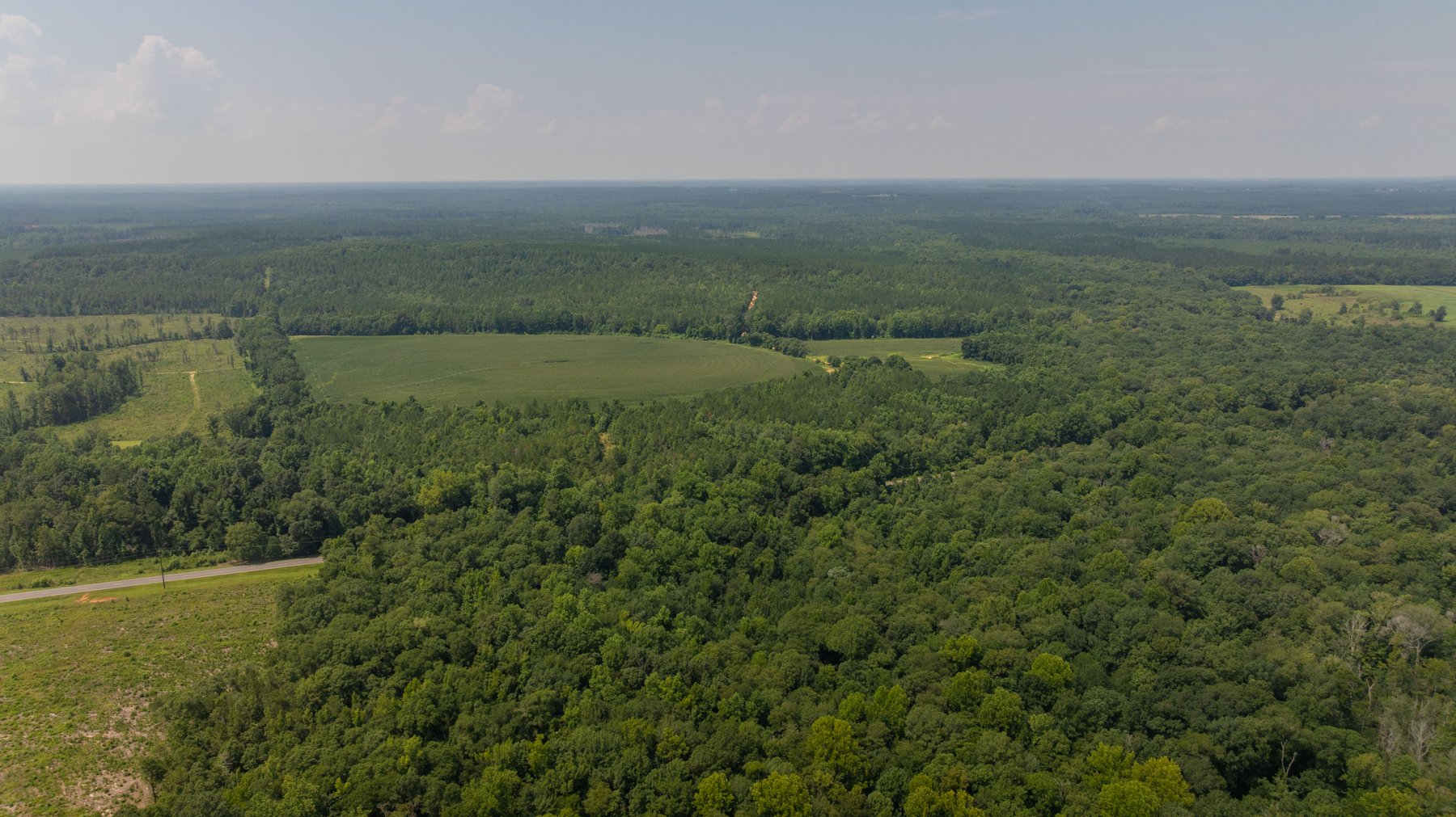 Image for The Minick Place - 204+/- Total Acres - Premium Recreational Tract - Row Crop Farmland - Choctahatchee Creek Frontage
