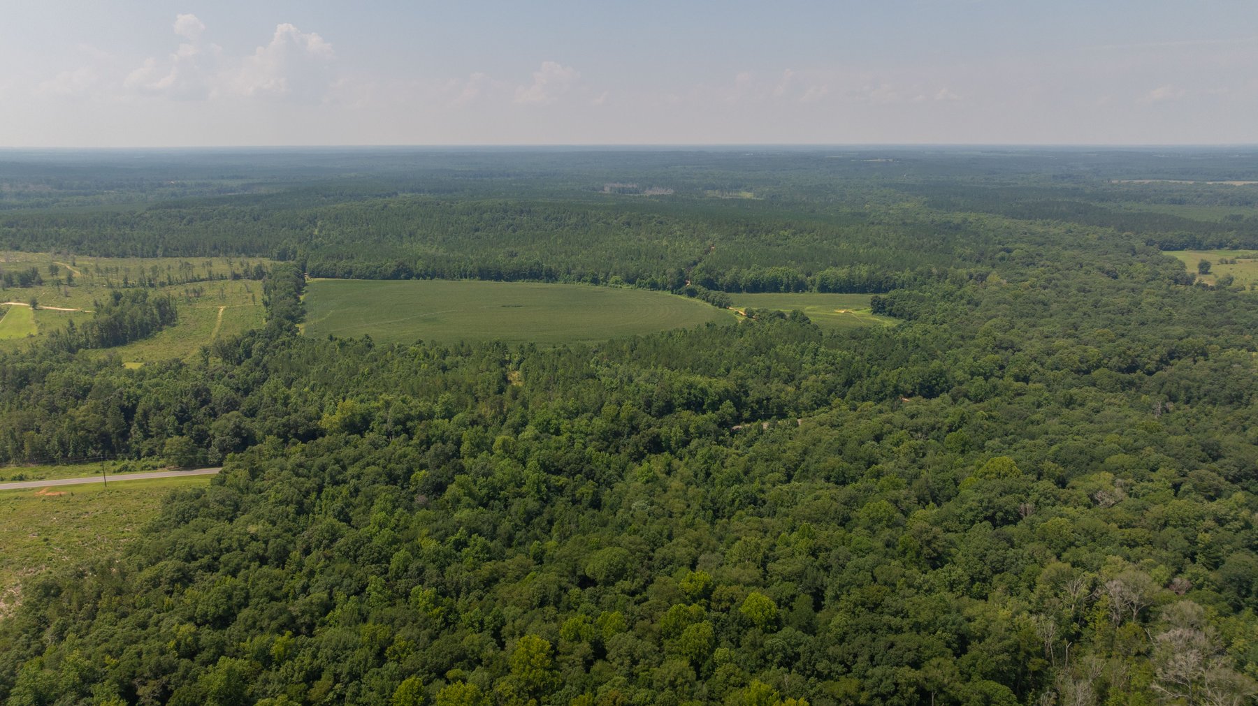 Image for The Minick Place - 204+/- Total Acres - Premium Recreational Tract - Row Crop Farmland - Choctahatchee Creek Frontage
