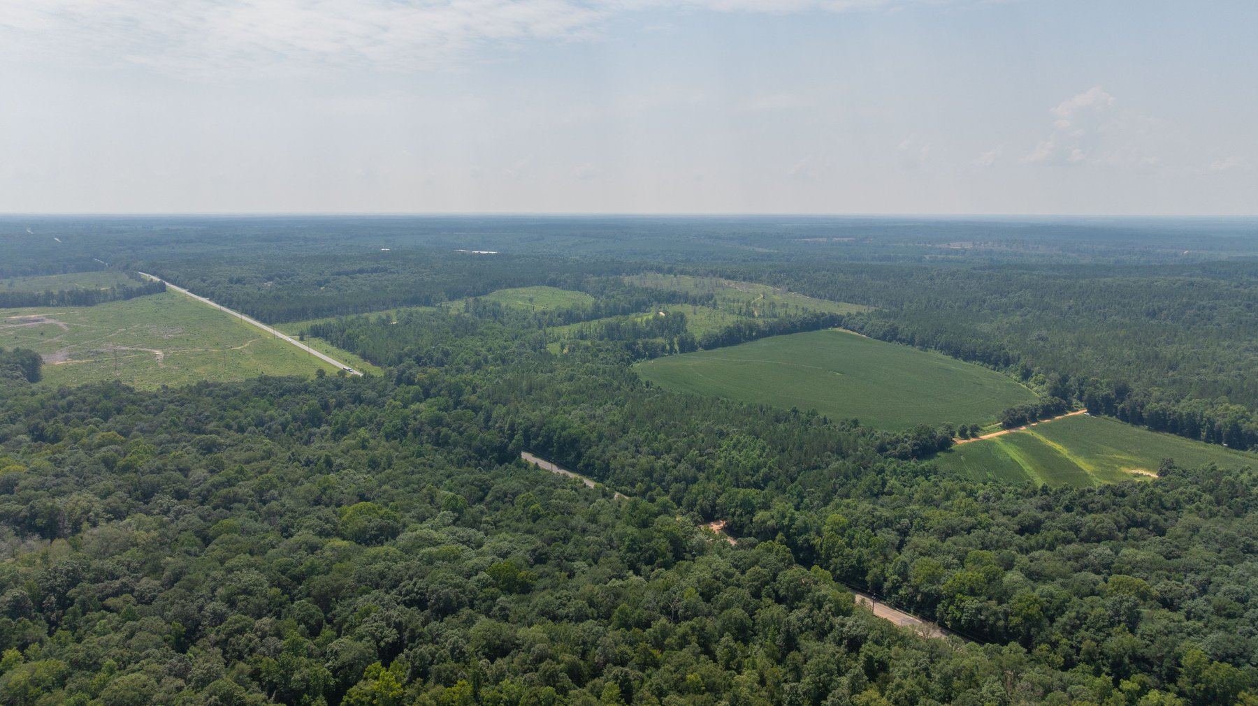 Image for The Minick Place - 204+/- Total Acres - Premium Recreational Tract - Row Crop Farmland - Choctahatchee Creek Frontage