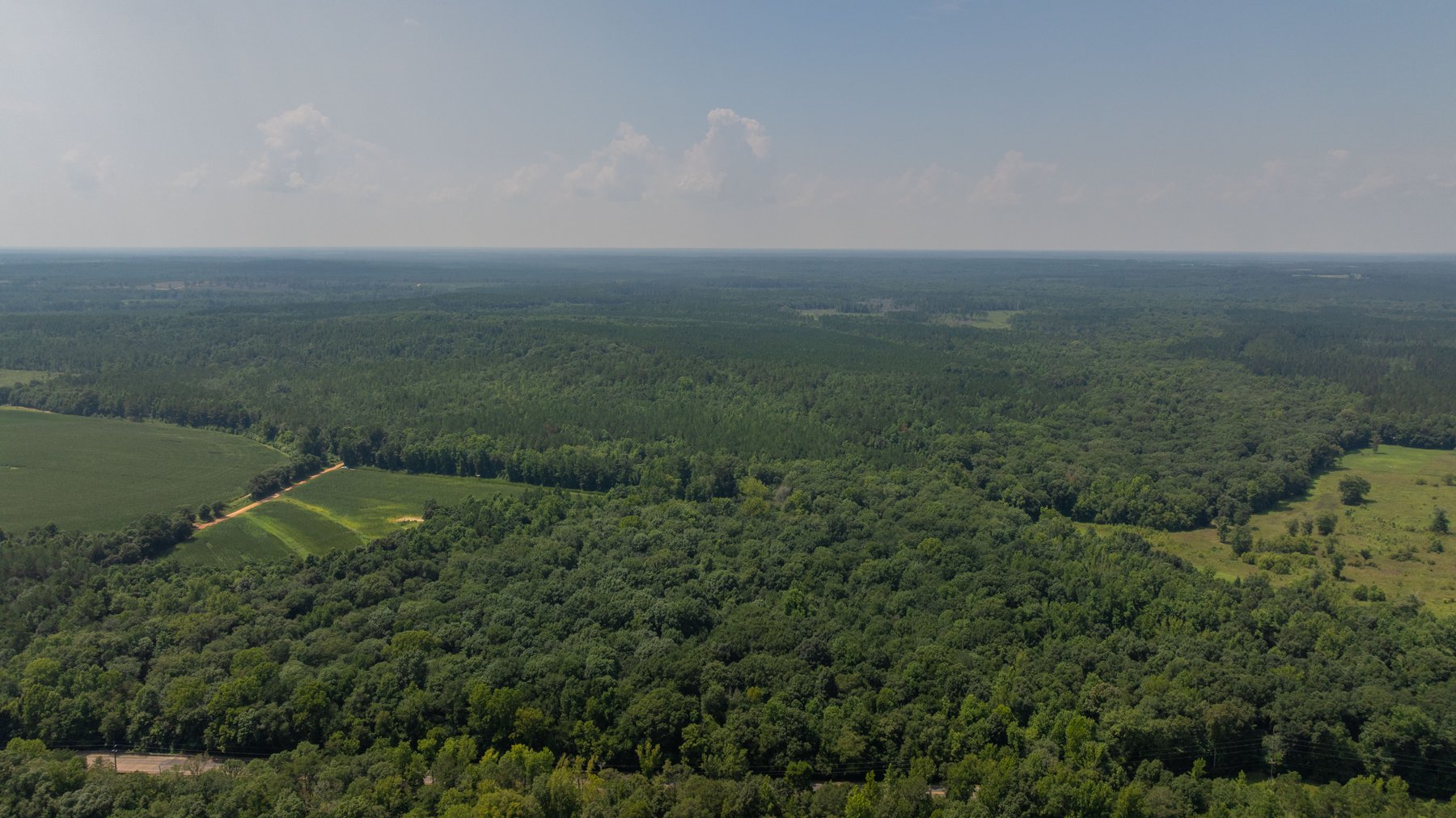 Image for The Minick Place - 204+/- Total Acres - Premium Recreational Tract - Row Crop Farmland - Choctahatchee Creek Frontage