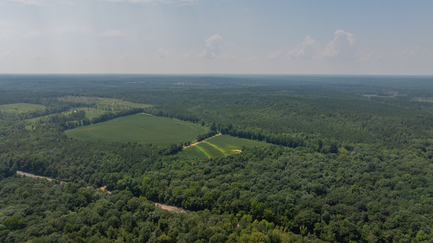 Image for The Minick Place - 204+/- Total Acres - Premium Recreational Tract - Row Crop Farmland - Choctahatchee Creek Frontage