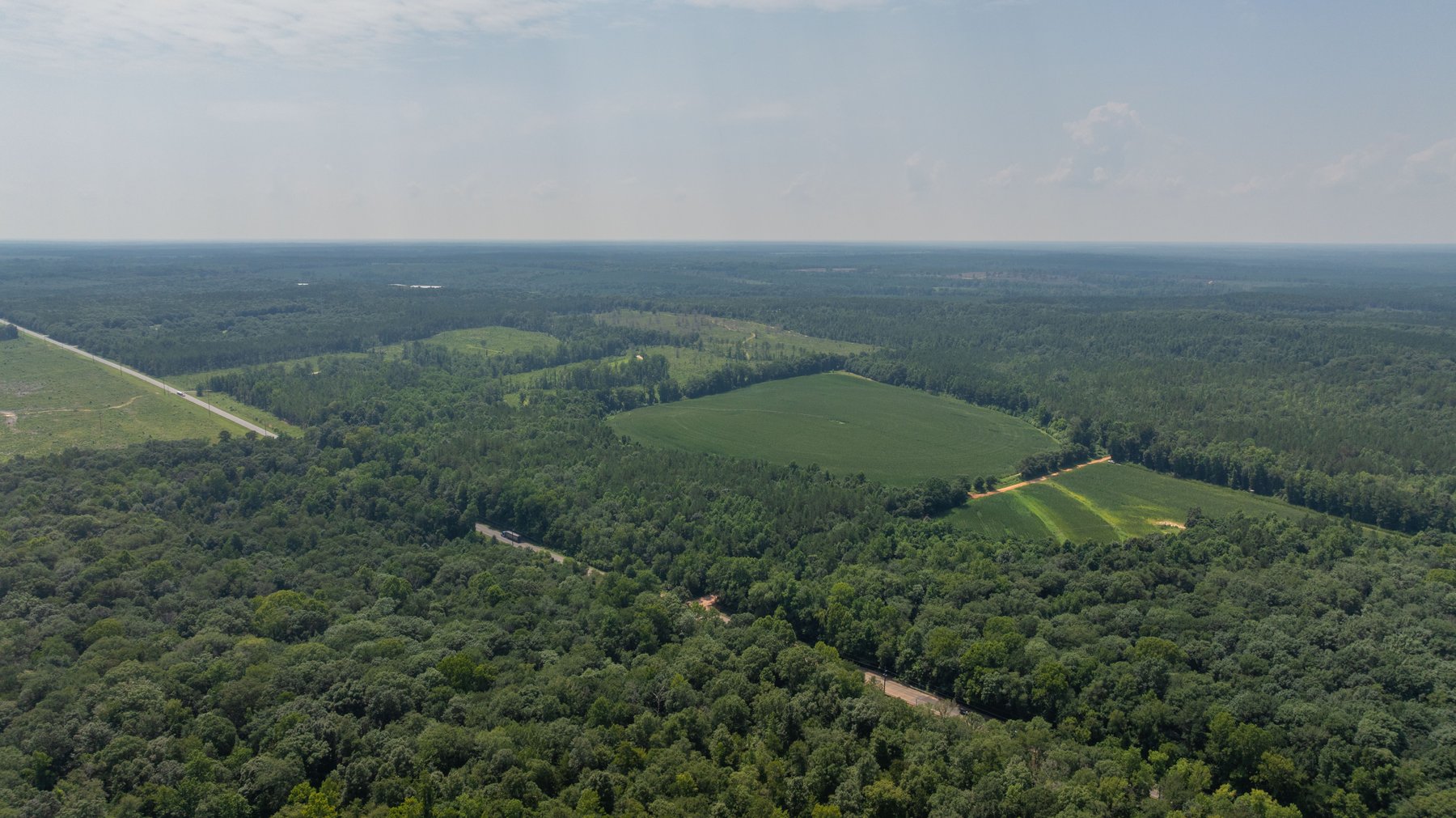 Image for The Minick Place - 204+/- Total Acres - Premium Recreational Tract - Row Crop Farmland - Choctahatchee Creek Frontage