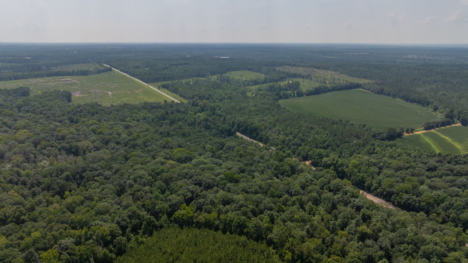 Image for The Minick Place - 204+/- Total Acres - Premium Recreational Tract - Row Crop Farmland - Choctahatchee Creek Frontage