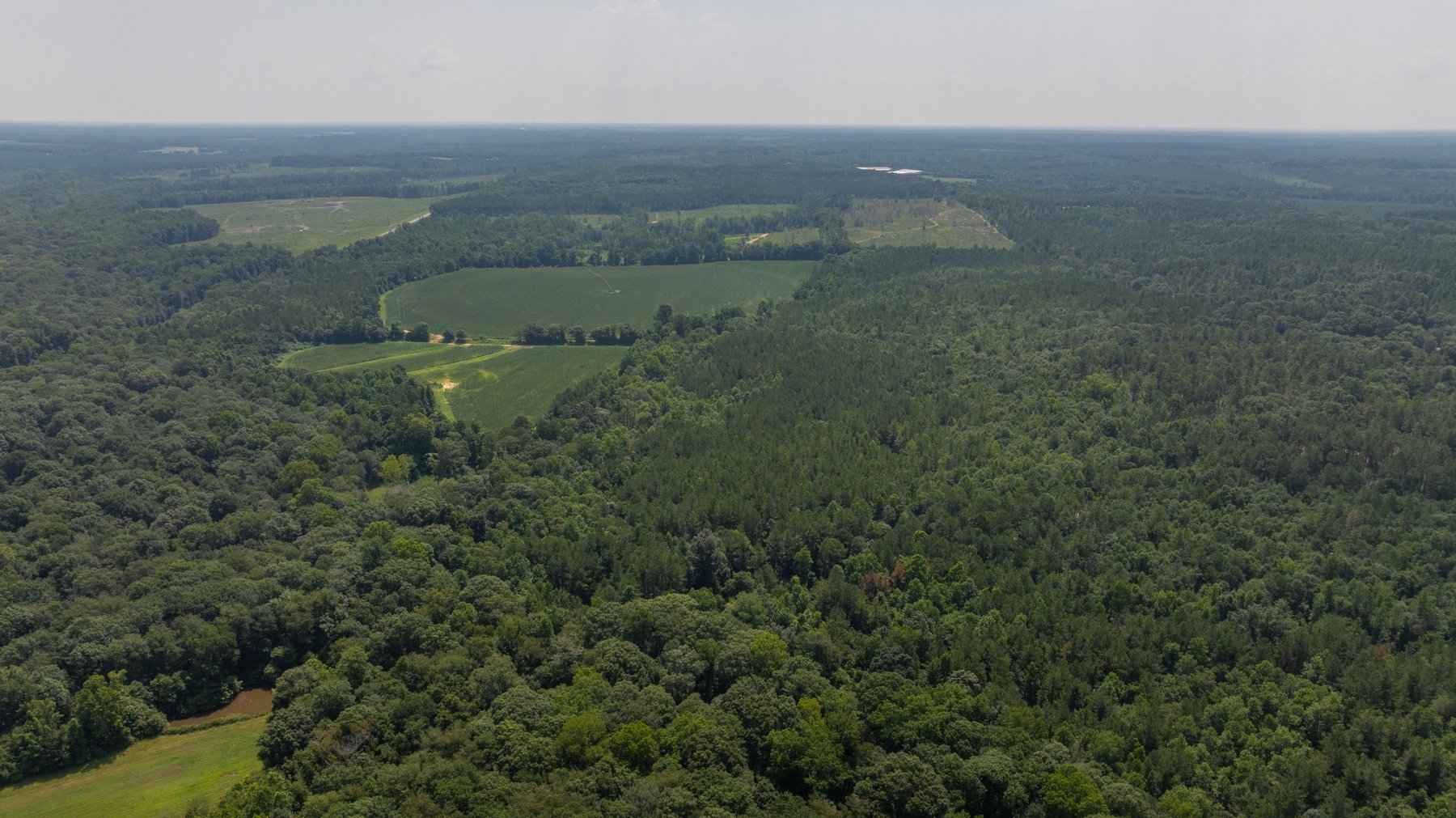 Image for The Minick Place - 204+/- Total Acres - Premium Recreational Tract - Row Crop Farmland - Choctahatchee Creek Frontage