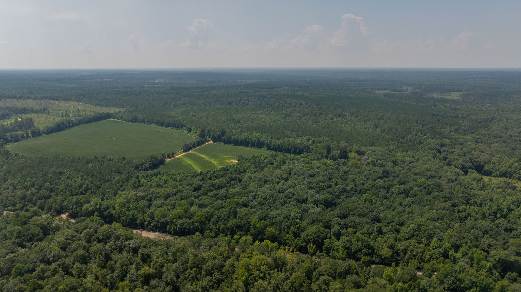 Image for The Minick Place - 204+/- Total Acres - Premium Recreational Tract - Row Crop Farmland - Choctahatchee Creek Frontage