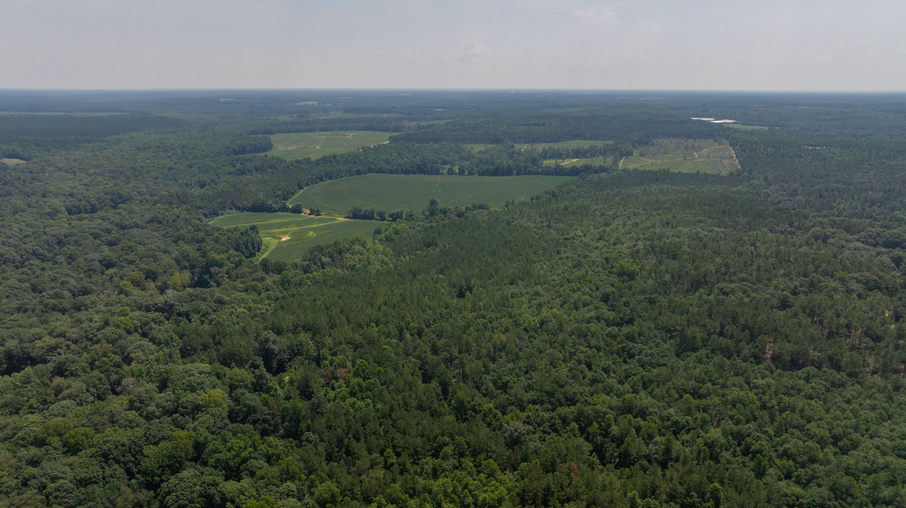 Image for The Minick Place - 204+/- Total Acres - Premium Recreational Tract - Row Crop Farmland - Choctahatchee Creek Frontage