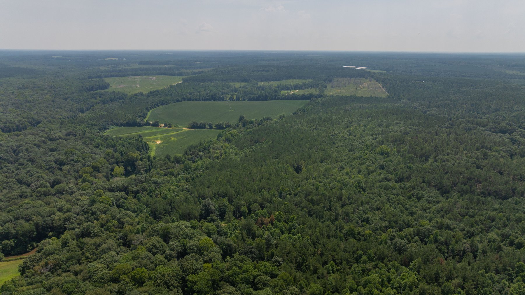 Image for The Minick Place - 204+/- Total Acres - Premium Recreational Tract - Row Crop Farmland - Choctahatchee Creek Frontage