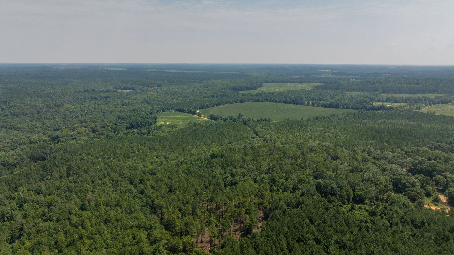 Image for The Minick Place - 204+/- Total Acres - Premium Recreational Tract - Row Crop Farmland - Choctahatchee Creek Frontage