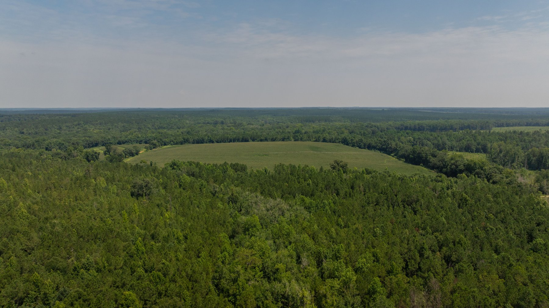 Image for The Minick Place - 204+/- Total Acres - Premium Recreational Tract - Row Crop Farmland - Choctahatchee Creek Frontage