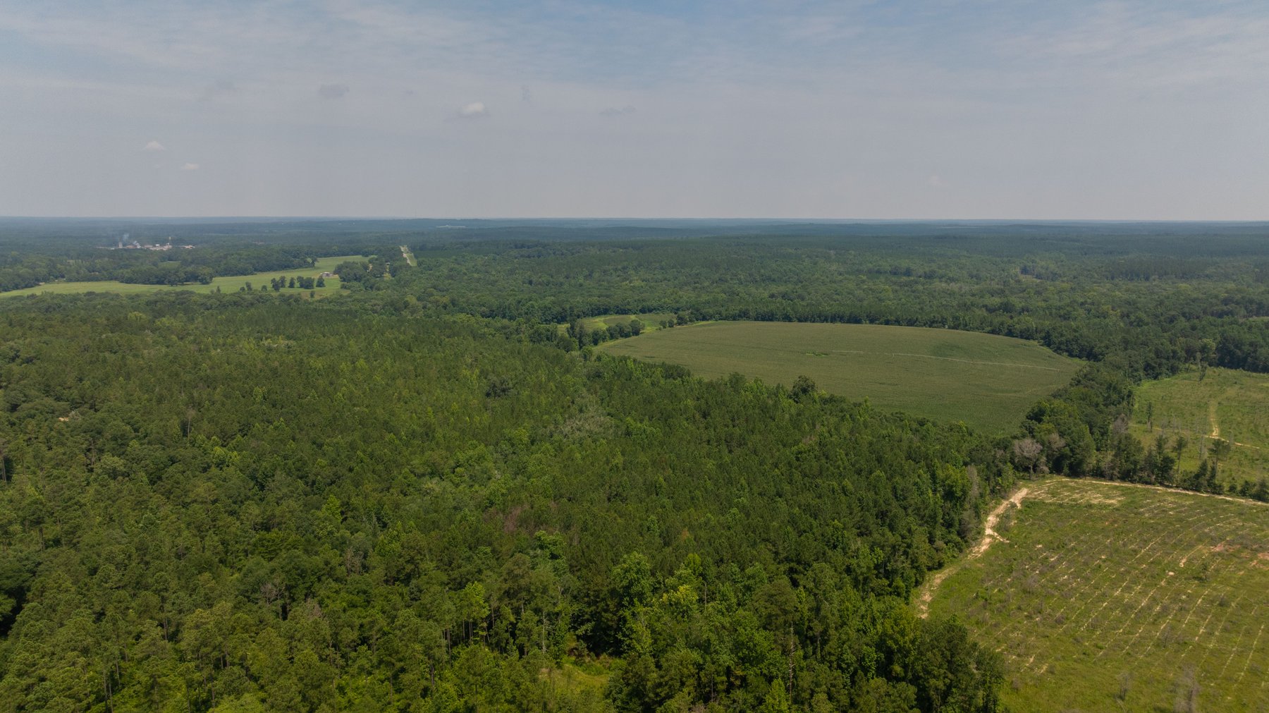 Image for The Minick Place - 204+/- Total Acres - Premium Recreational Tract - Row Crop Farmland - Choctahatchee Creek Frontage