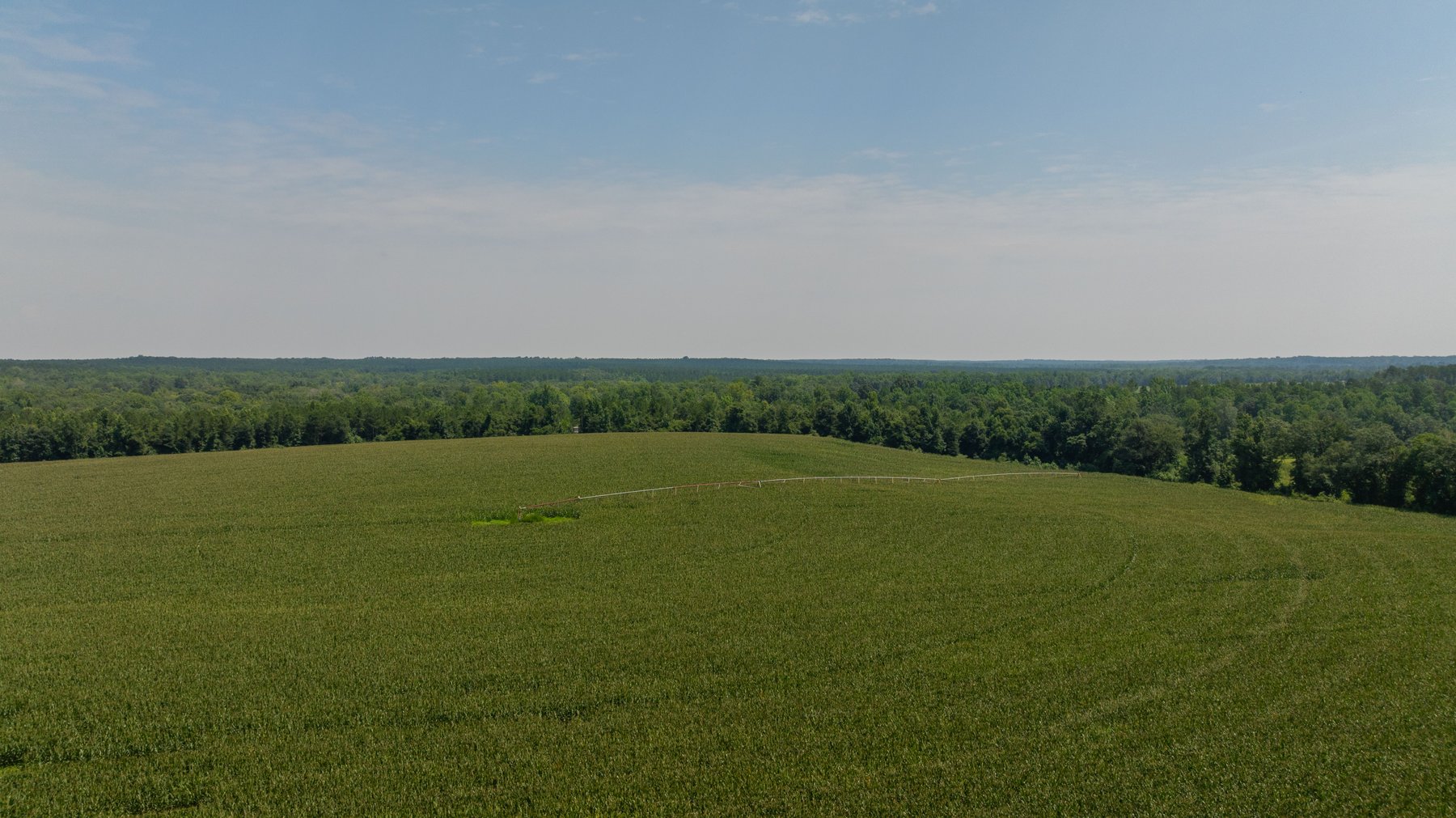 Image for The Minick Place - 204+/- Total Acres - Premium Recreational Tract - Row Crop Farmland - Choctahatchee Creek Frontage