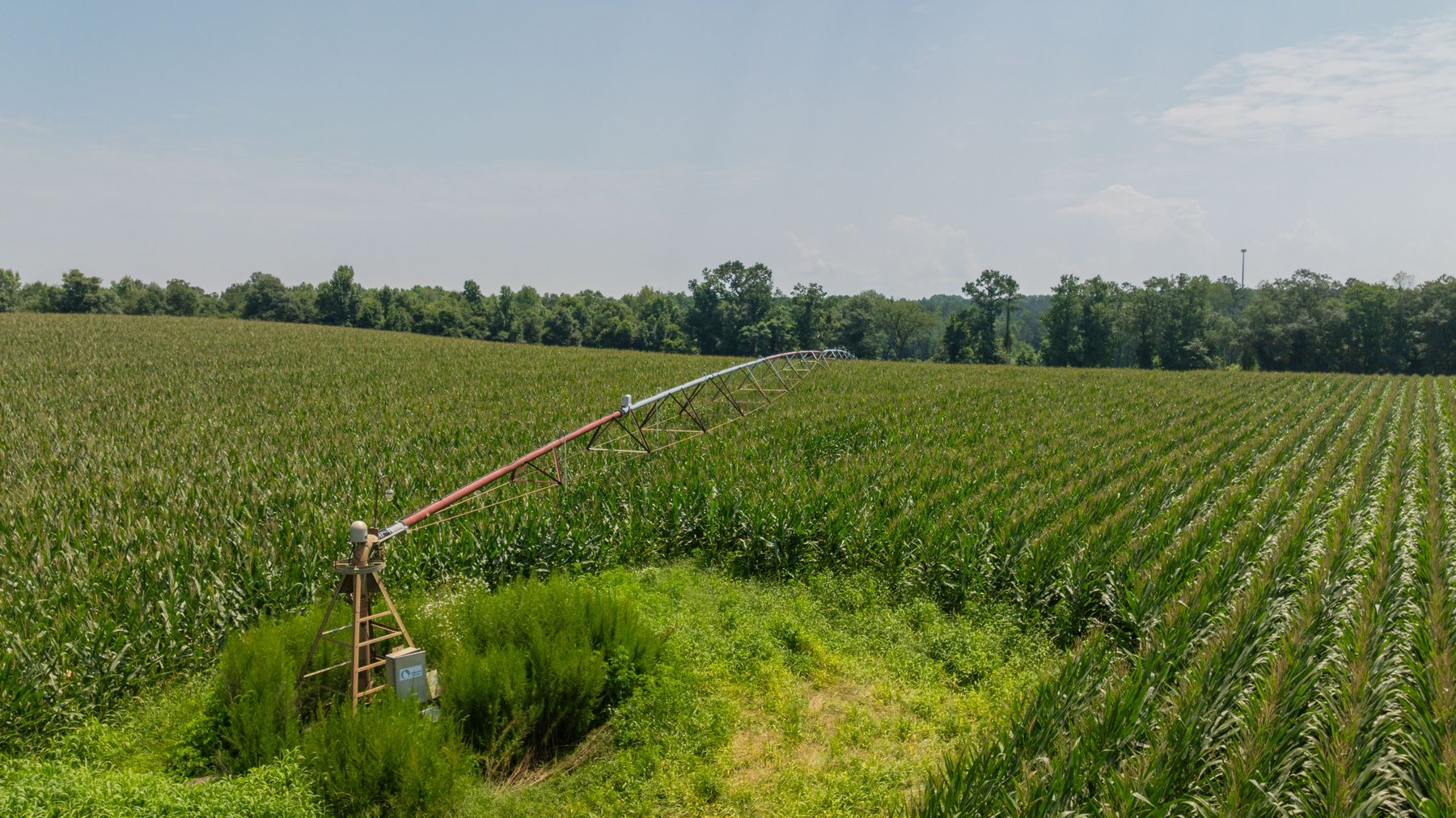 Image for The Minick Place - 204+/- Total Acres - Premium Recreational Tract - Row Crop Farmland - Choctahatchee Creek Frontage