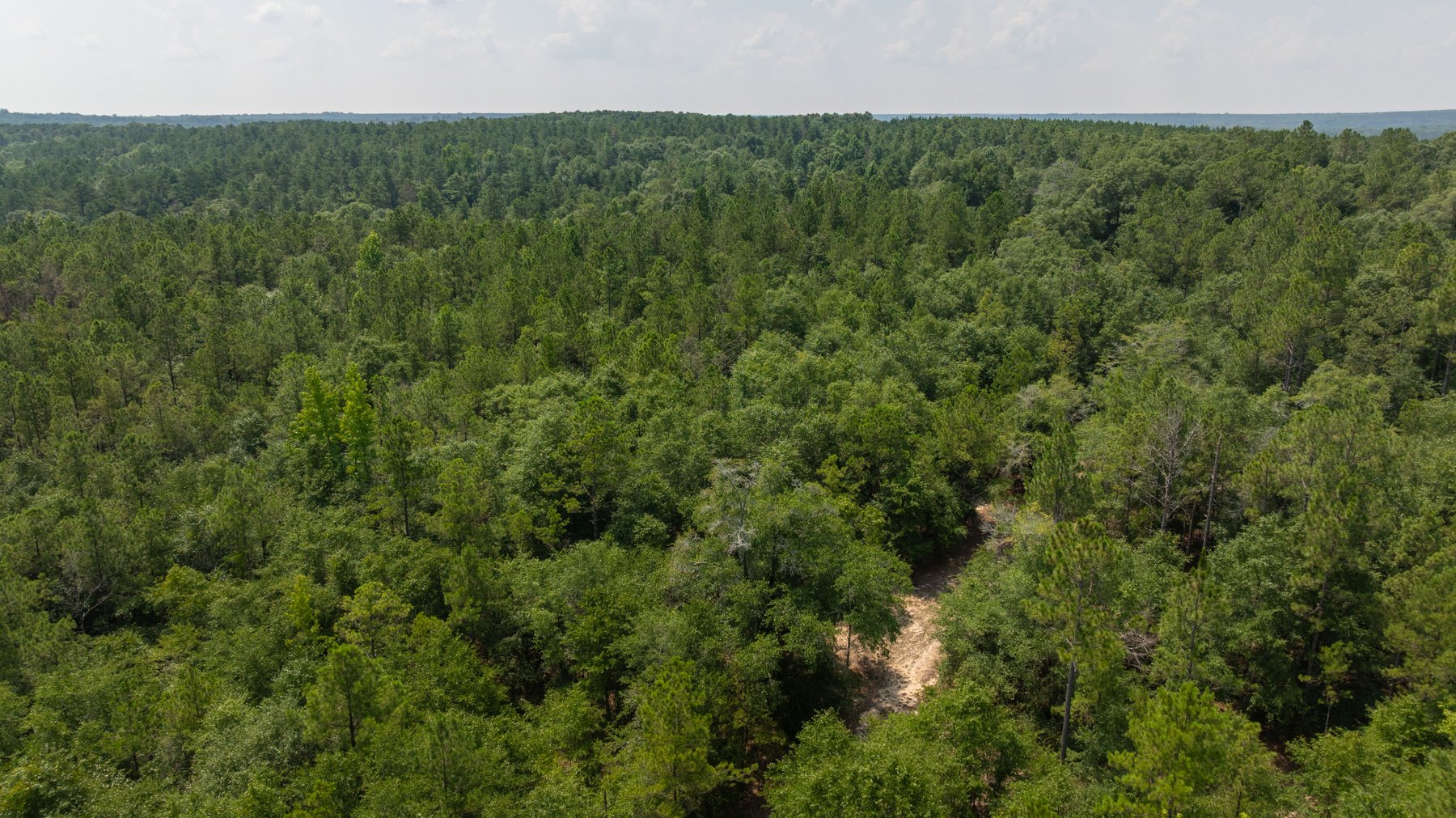 Image for The Minick Place - 204+/- Total Acres - Premium Recreational Tract - Row Crop Farmland - Choctahatchee Creek Frontage