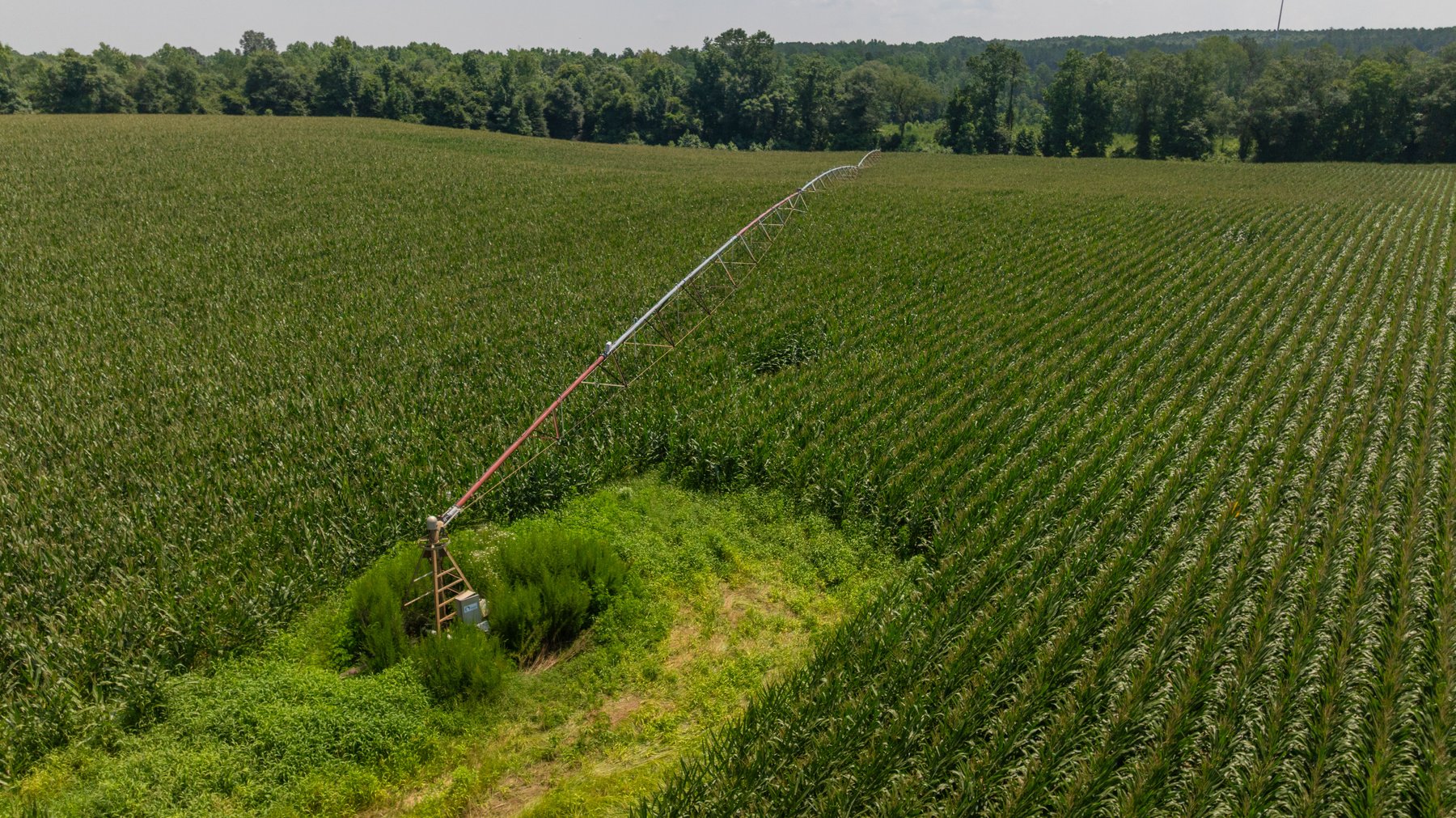 Image for The Minick Place - 204+/- Total Acres - Premium Recreational Tract - Row Crop Farmland - Choctahatchee Creek Frontage