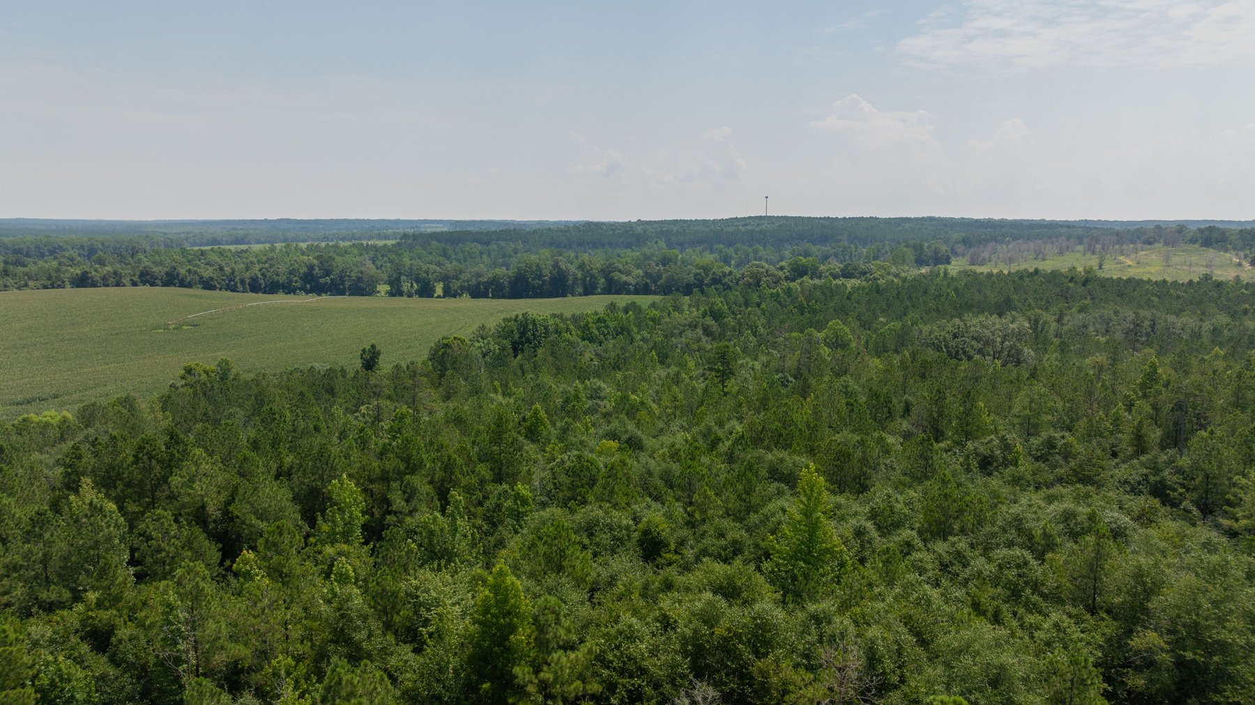 Image for The Minick Place - 204+/- Total Acres - Premium Recreational Tract - Row Crop Farmland - Choctahatchee Creek Frontage