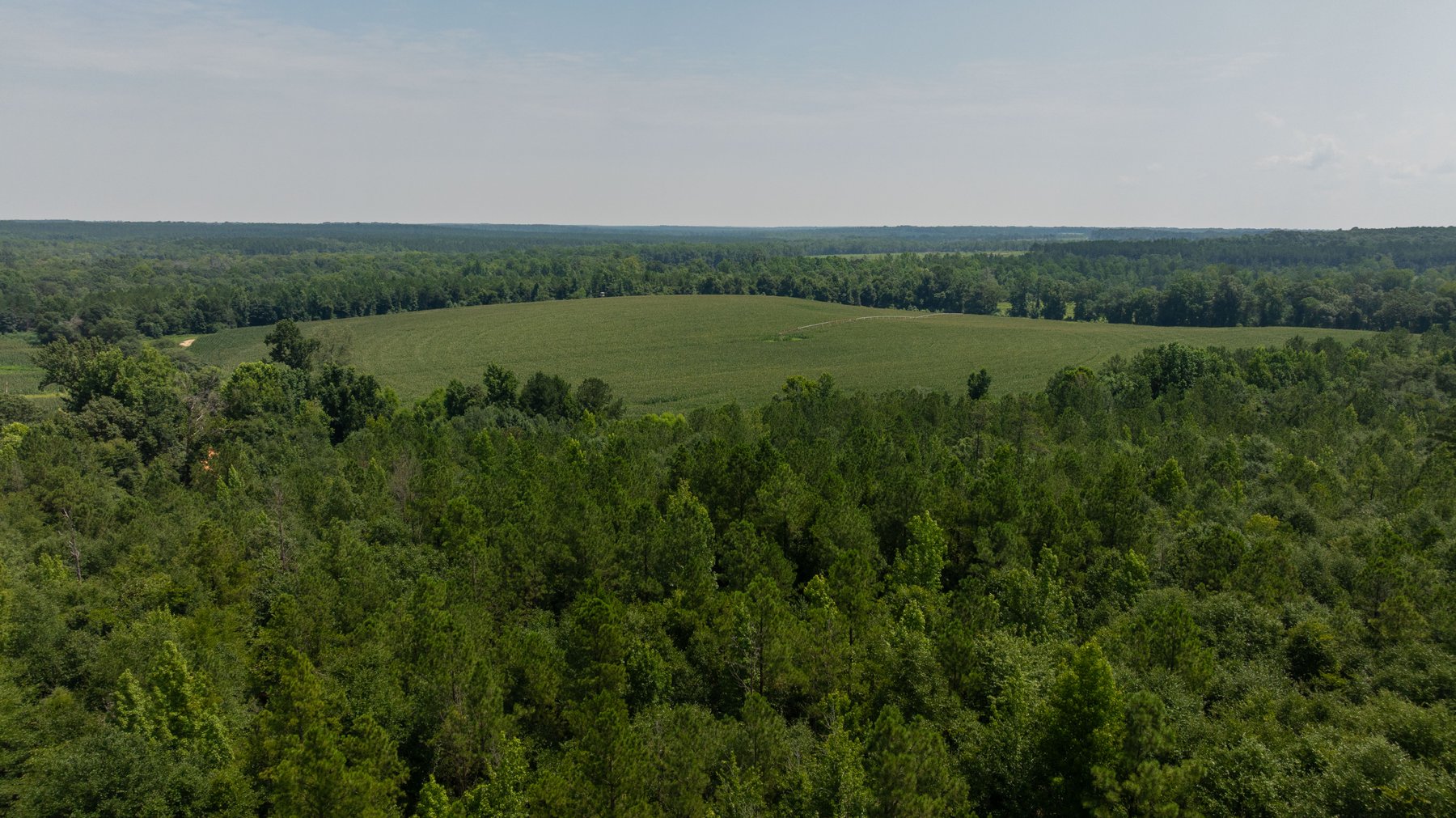 Image for The Minick Place - 204+/- Total Acres - Premium Recreational Tract - Row Crop Farmland - Choctahatchee Creek Frontage