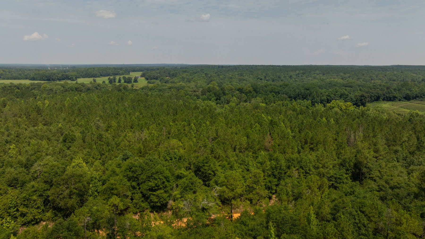 Image for The Minick Place - 204+/- Total Acres - Premium Recreational Tract - Row Crop Farmland - Choctahatchee Creek Frontage