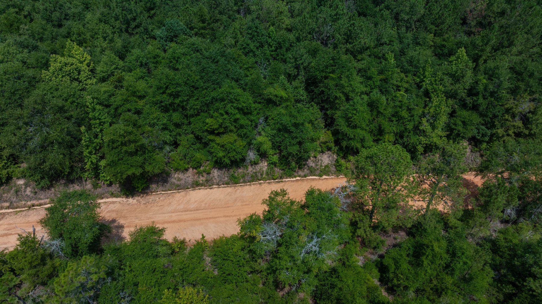 Image for The Minick Place - 204+/- Total Acres - Premium Recreational Tract - Row Crop Farmland - Choctahatchee Creek Frontage