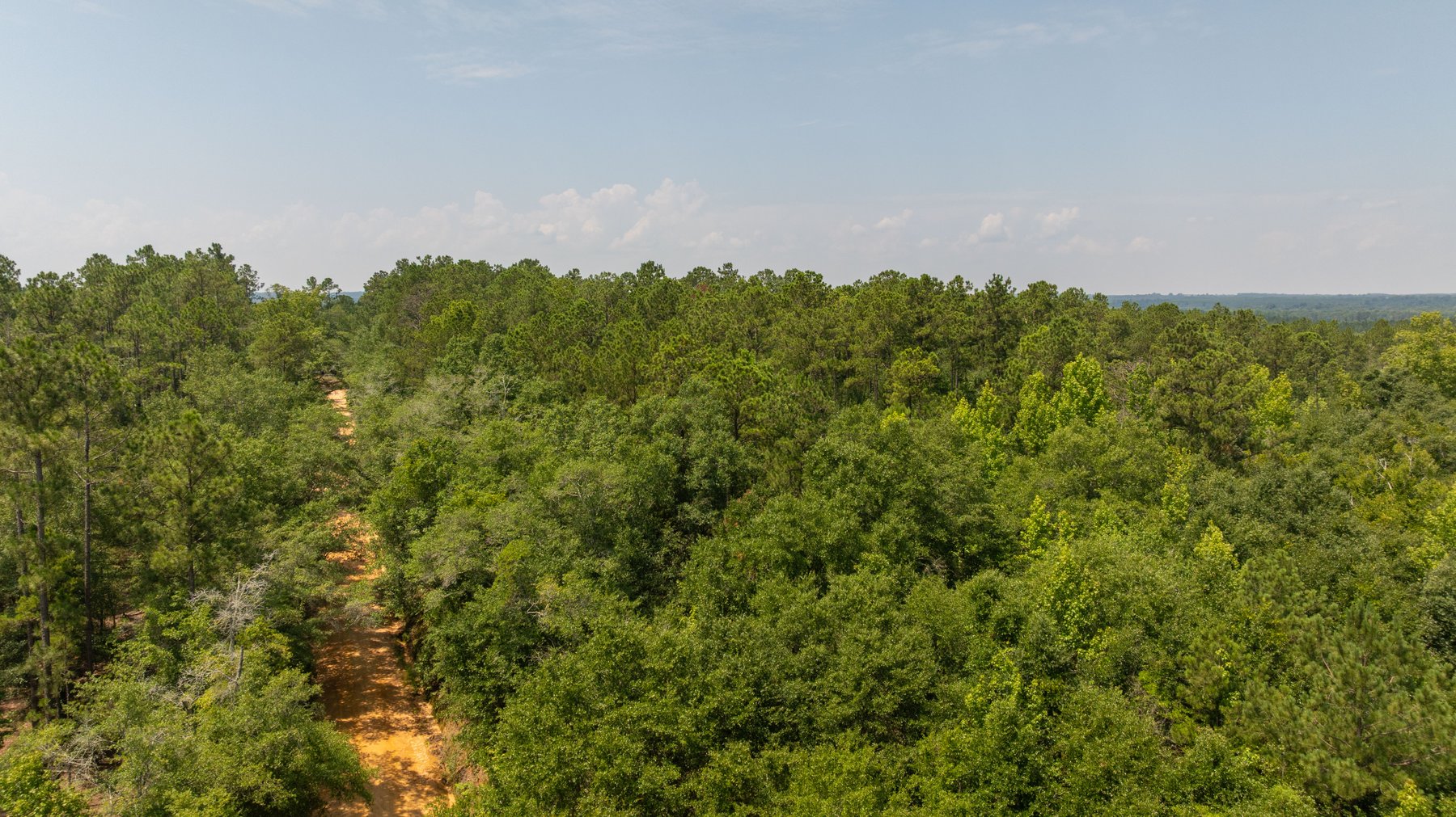 Image for The Minick Place - 204+/- Total Acres - Premium Recreational Tract - Row Crop Farmland - Choctahatchee Creek Frontage