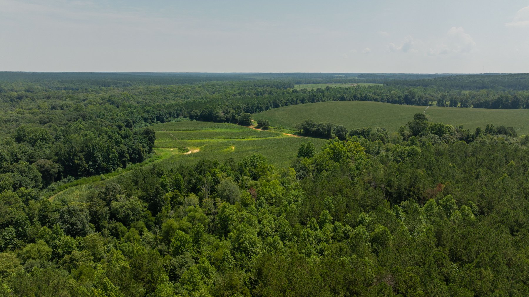 Image for The Minick Place - 204+/- Total Acres - Premium Recreational Tract - Row Crop Farmland - Choctahatchee Creek Frontage