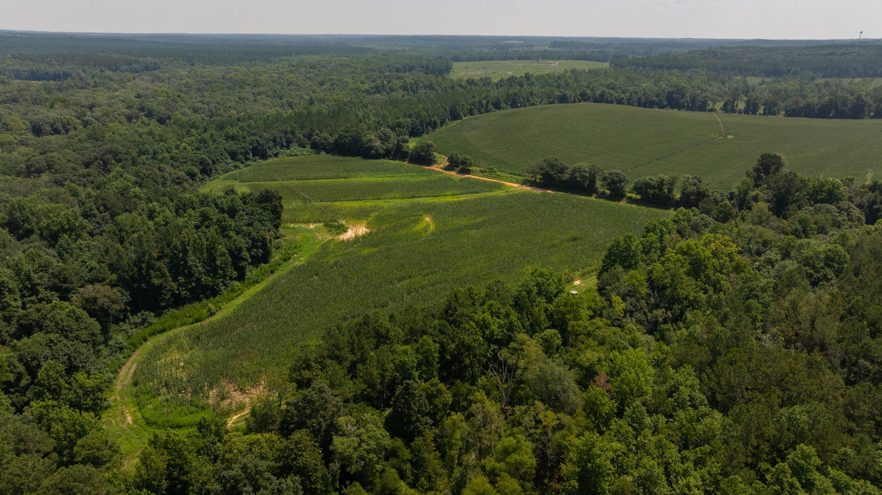 Image for The Minick Place - 204+/- Total Acres - Premium Recreational Tract - Row Crop Farmland - Choctahatchee Creek Frontage