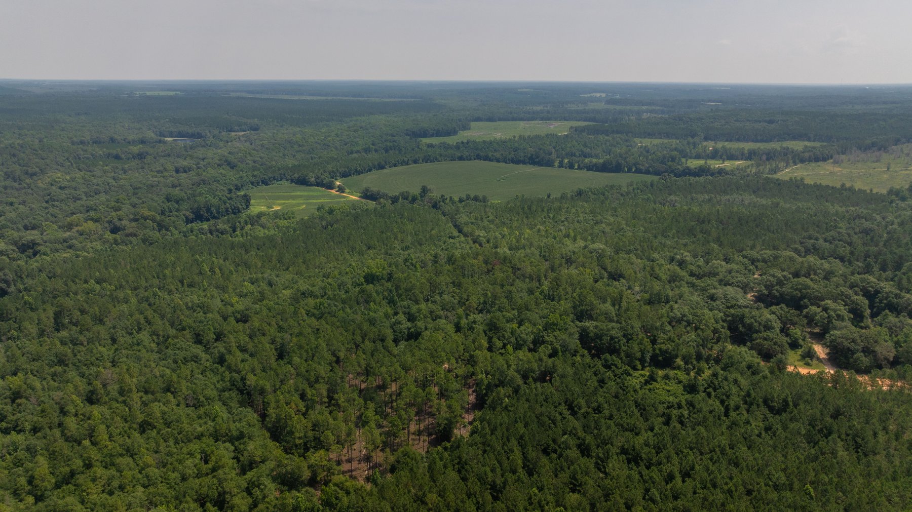 Image for The Minick Place - 204+/- Total Acres - Premium Recreational Tract - Row Crop Farmland - Choctahatchee Creek Frontage