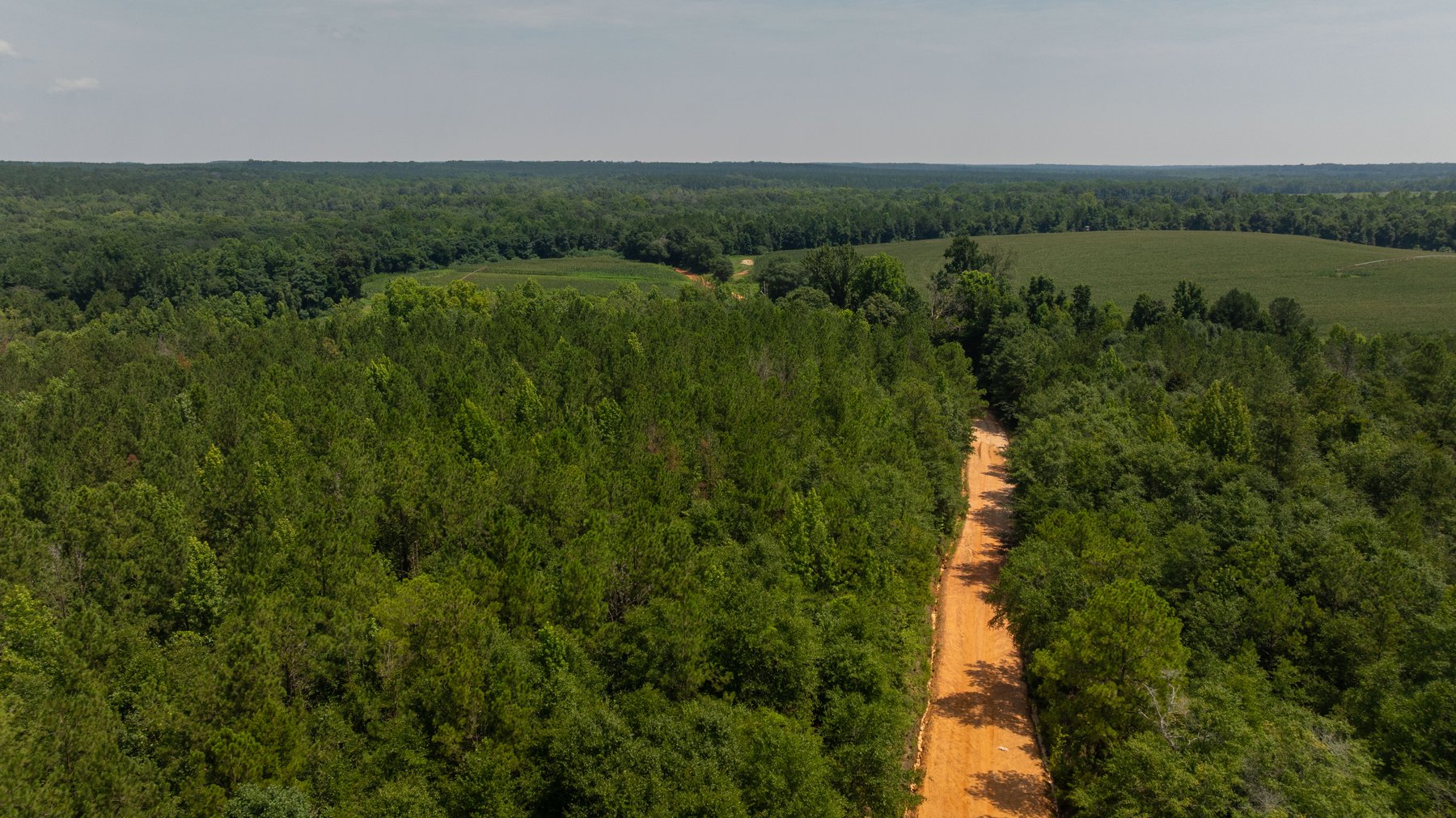 Image for The Minick Place - 204+/- Total Acres - Premium Recreational Tract - Row Crop Farmland - Choctahatchee Creek Frontage