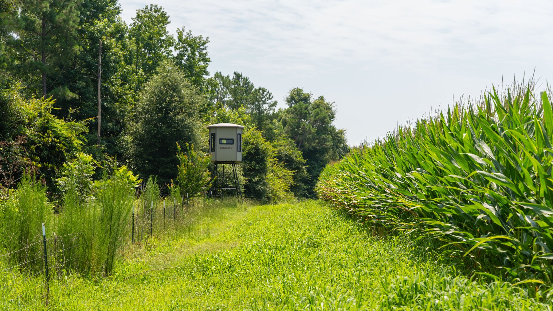 Image for The Minick Place - 204+/- Total Acres - Premium Recreational Tract - Row Crop Farmland - Choctahatchee Creek Frontage