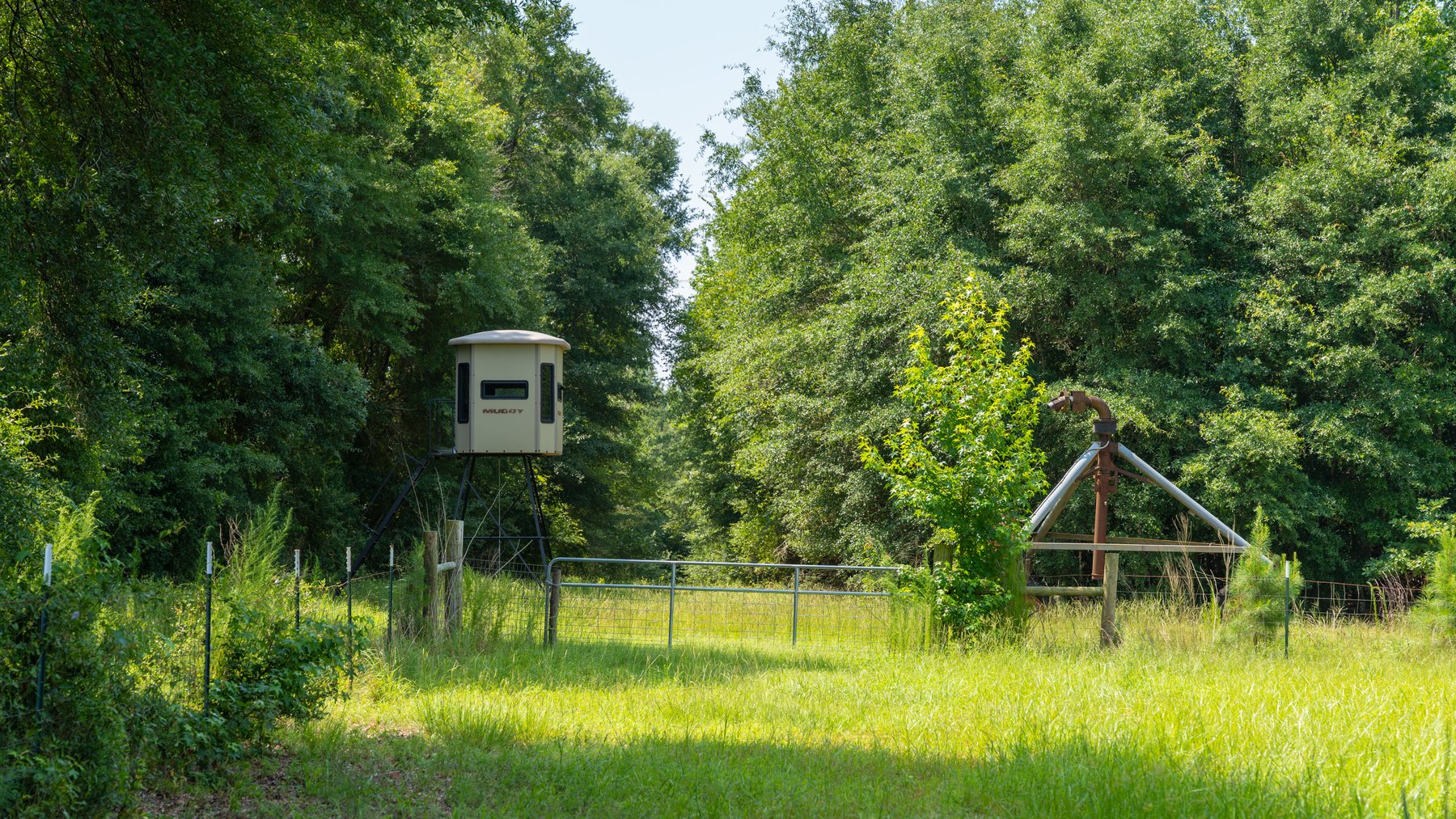 Image for The Minick Place - 204+/- Total Acres - Premium Recreational Tract - Row Crop Farmland - Choctahatchee Creek Frontage