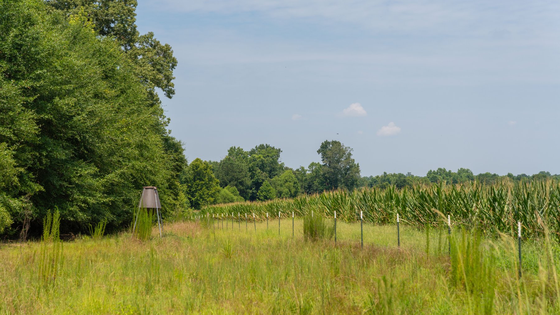 Image for The Minick Place - 204+/- Total Acres - Premium Recreational Tract - Row Crop Farmland - Choctahatchee Creek Frontage