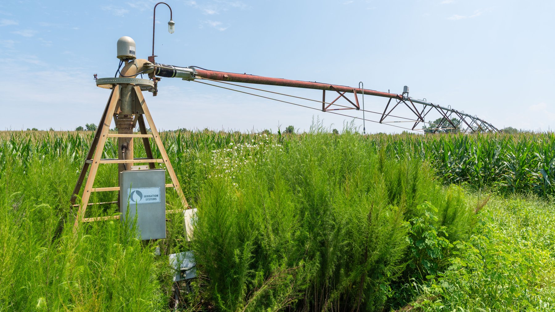 Image for The Minick Place - 204+/- Total Acres - Premium Recreational Tract - Row Crop Farmland - Choctahatchee Creek Frontage