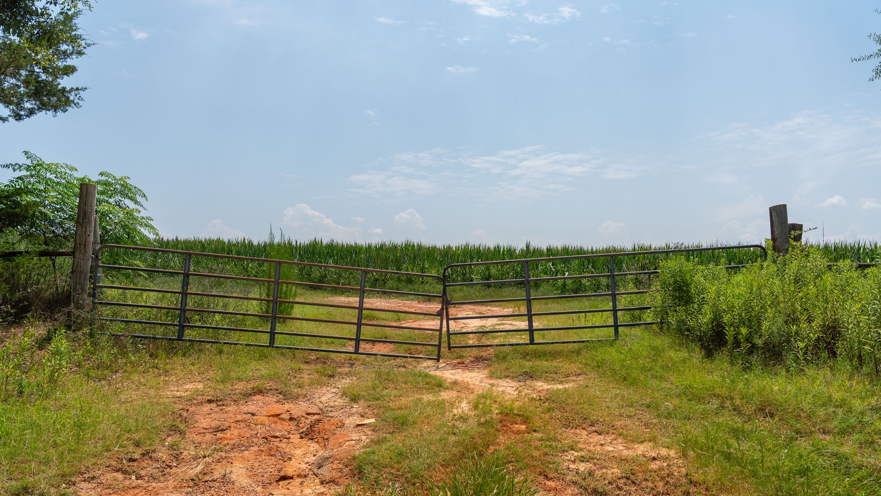 Image for The Minick Place - 204+/- Total Acres - Premium Recreational Tract - Row Crop Farmland - Choctahatchee Creek Frontage