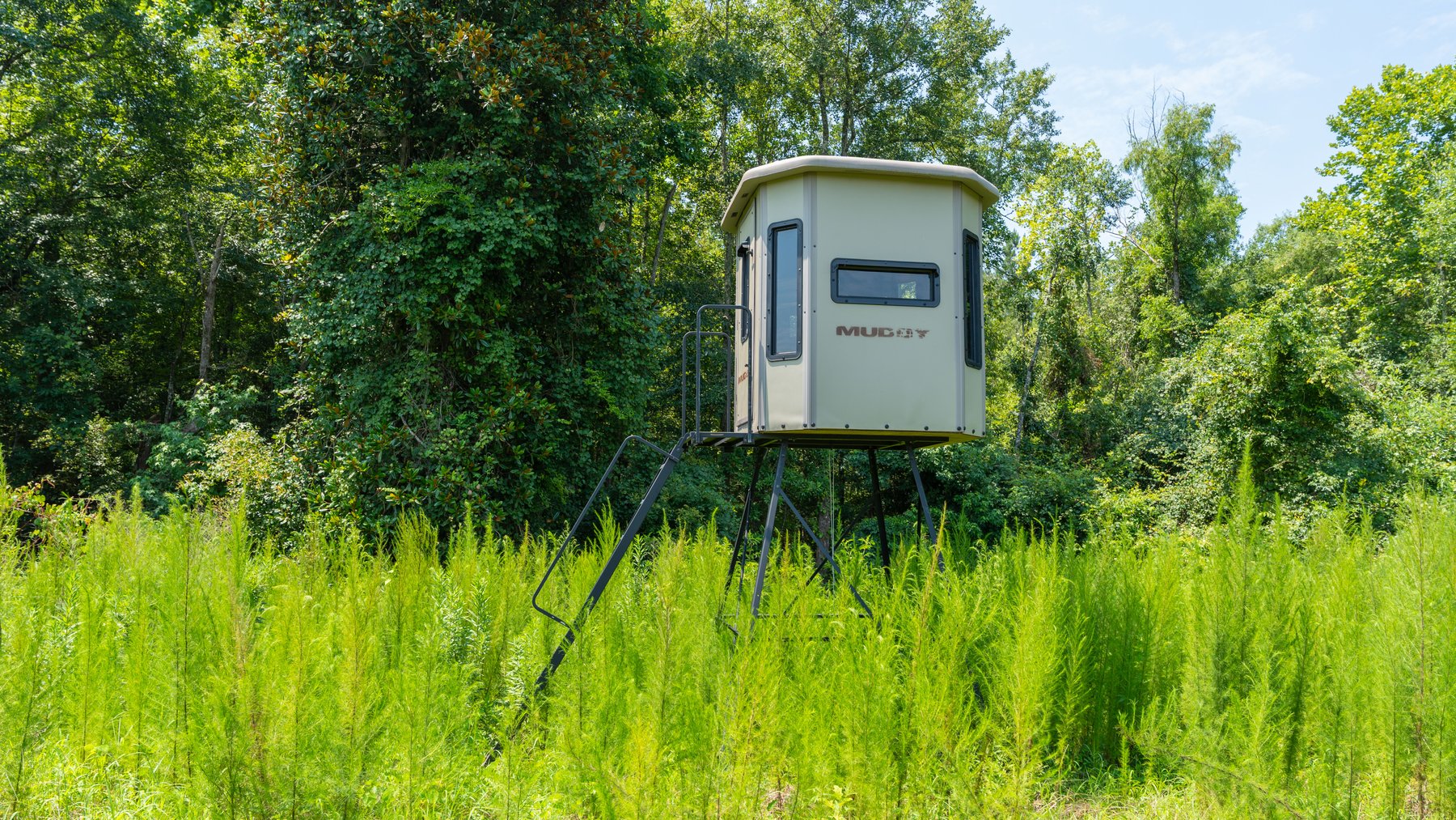 Image for The Minick Place - 204+/- Total Acres - Premium Recreational Tract - Row Crop Farmland - Choctahatchee Creek Frontage