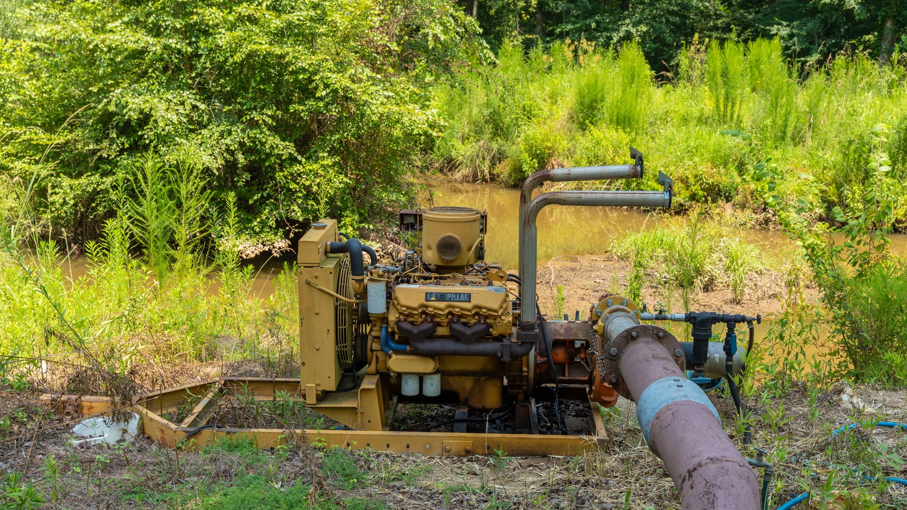 Image for The Minick Place - 204+/- Total Acres - Premium Recreational Tract - Row Crop Farmland - Choctahatchee Creek Frontage