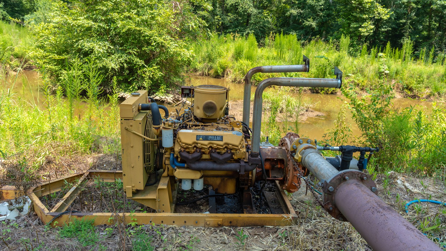 Image for The Minick Place - 204+/- Total Acres - Premium Recreational Tract - Row Crop Farmland - Choctahatchee Creek Frontage