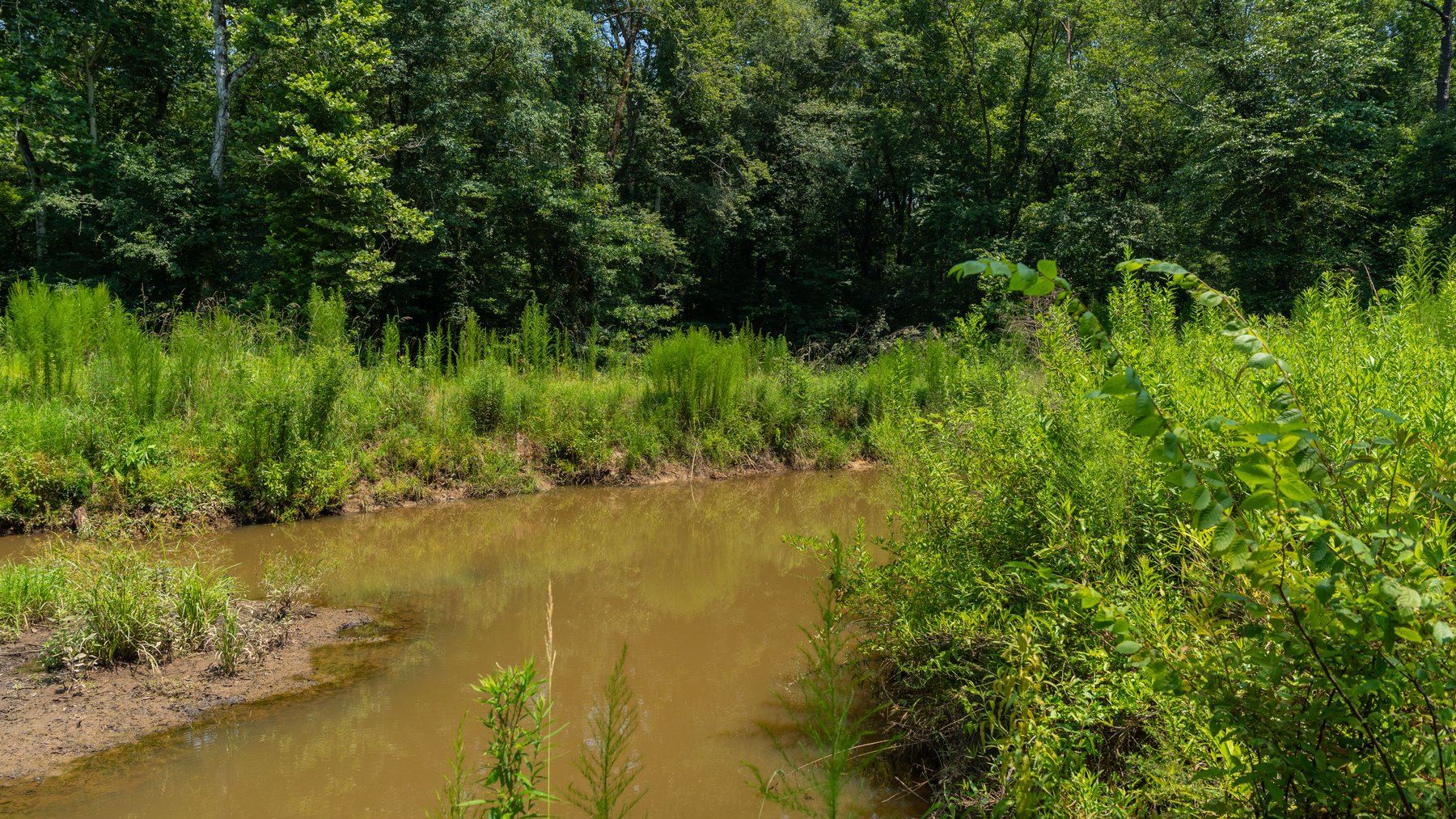 Image for The Minick Place - 204+/- Total Acres - Premium Recreational Tract - Row Crop Farmland - Choctahatchee Creek Frontage