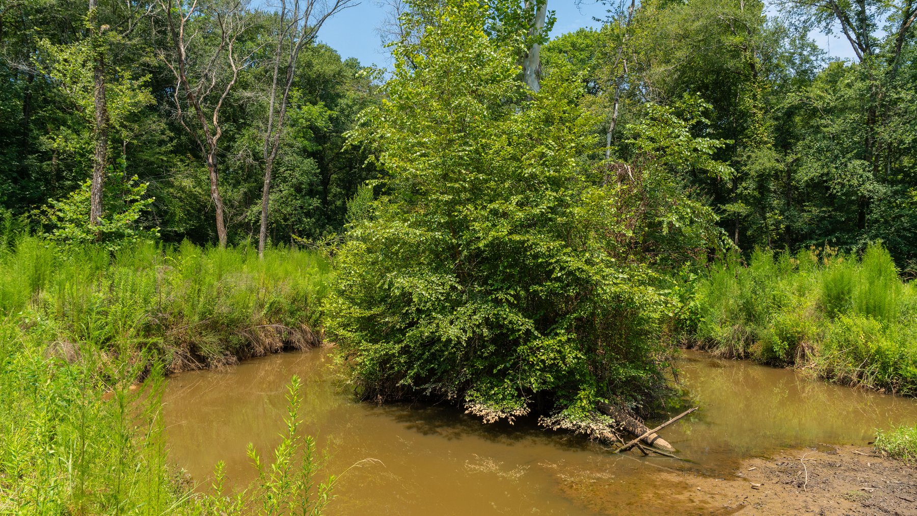 Image for The Minick Place - 204+/- Total Acres - Premium Recreational Tract - Row Crop Farmland - Choctahatchee Creek Frontage