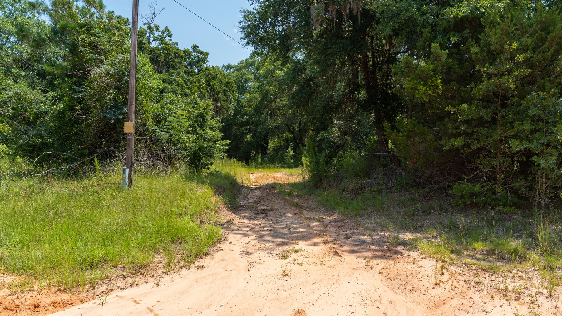 Image for The Minick Place - 204+/- Total Acres - Premium Recreational Tract - Row Crop Farmland - Choctahatchee Creek Frontage
