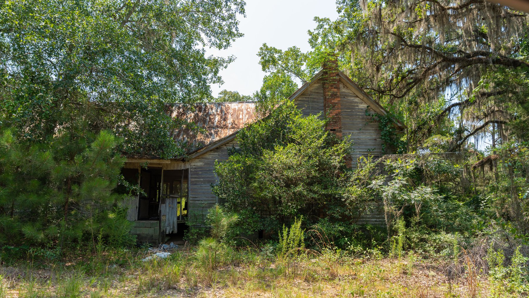 Image for The Minick Place - 204+/- Total Acres - Premium Recreational Tract - Row Crop Farmland - Choctahatchee Creek Frontage
