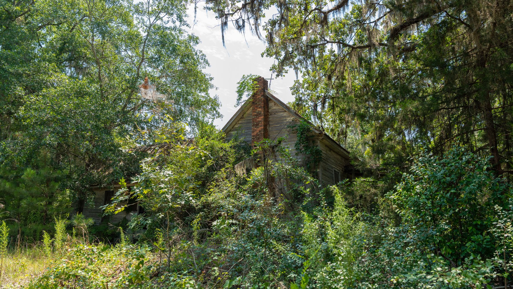 Image for The Minick Place - 204+/- Total Acres - Premium Recreational Tract - Row Crop Farmland - Choctahatchee Creek Frontage