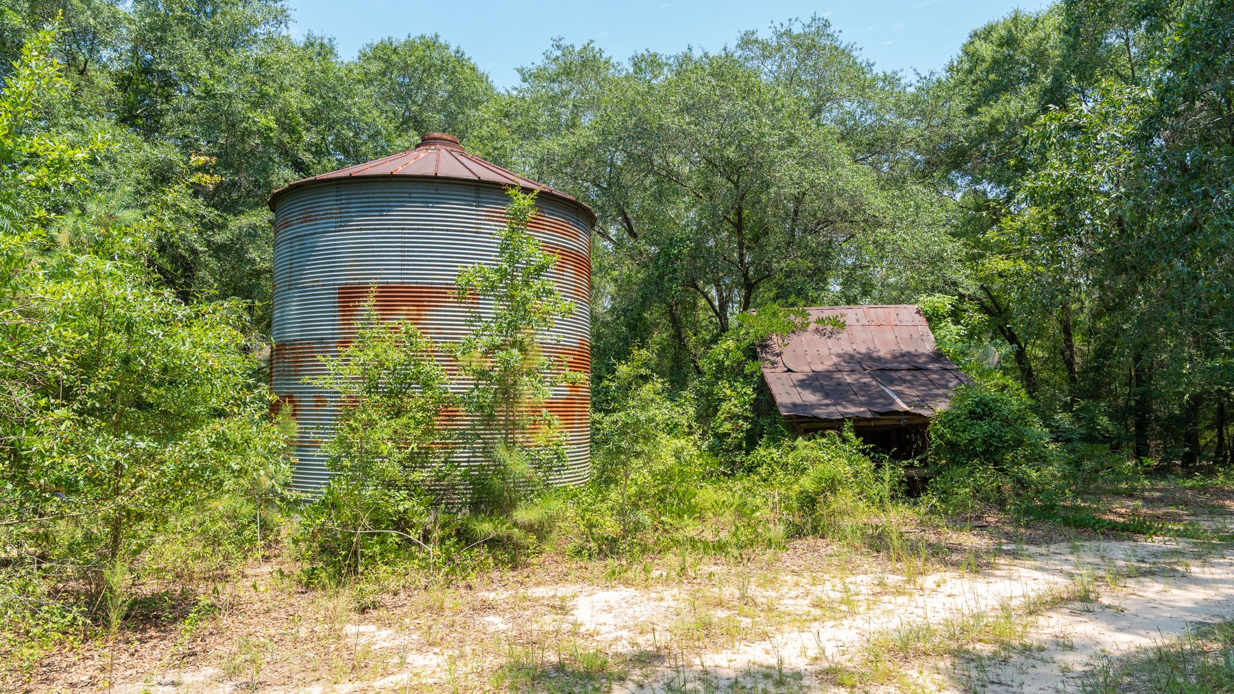 Image for The Minick Place - 204+/- Total Acres - Premium Recreational Tract - Row Crop Farmland - Choctahatchee Creek Frontage
