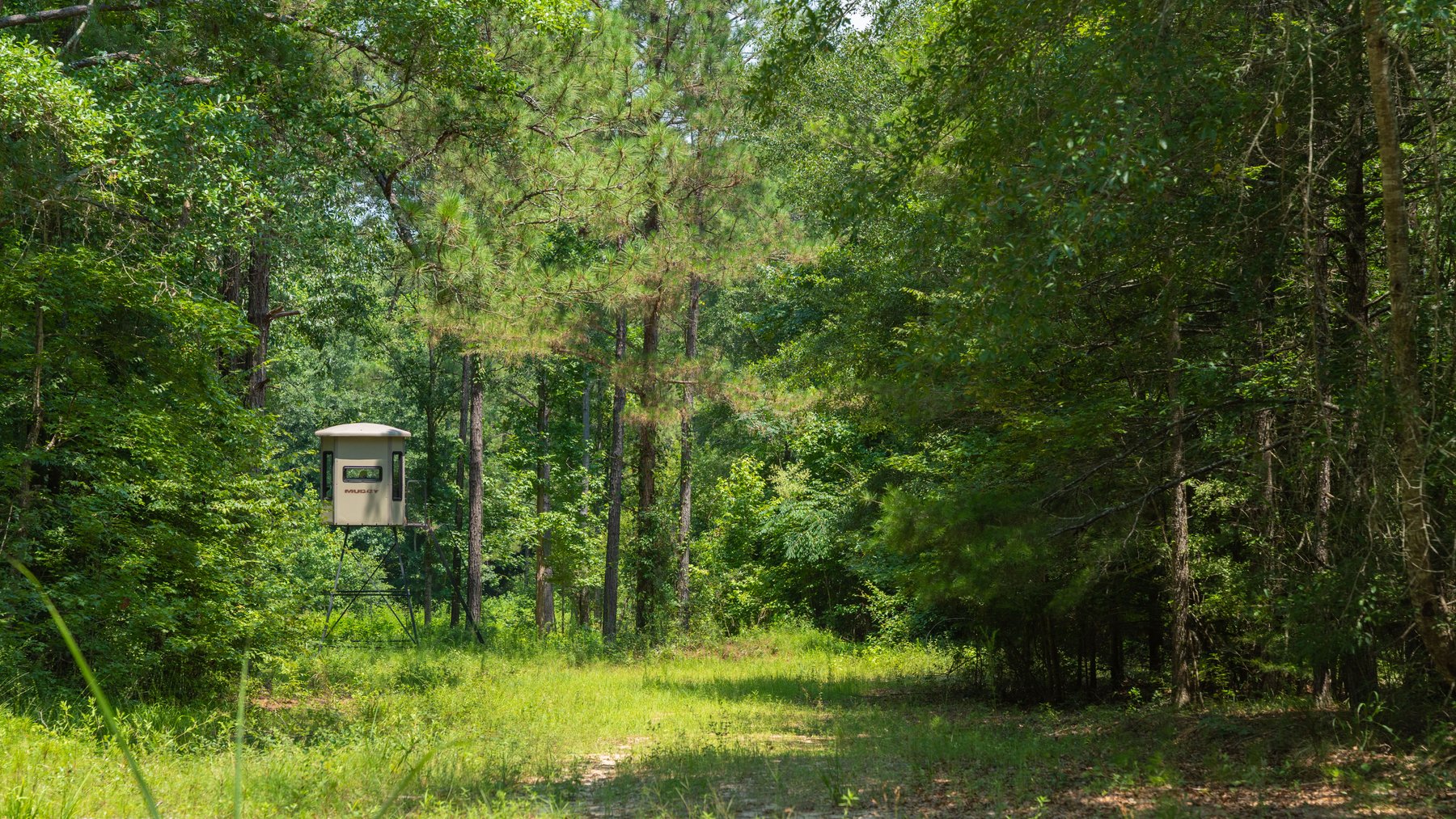 Image for The Minick Place - 204+/- Total Acres - Premium Recreational Tract - Row Crop Farmland - Choctahatchee Creek Frontage