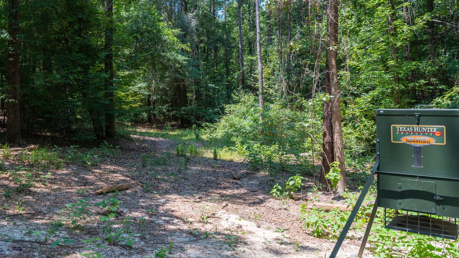 Image for The Minick Place - 204+/- Total Acres - Premium Recreational Tract - Row Crop Farmland - Choctahatchee Creek Frontage