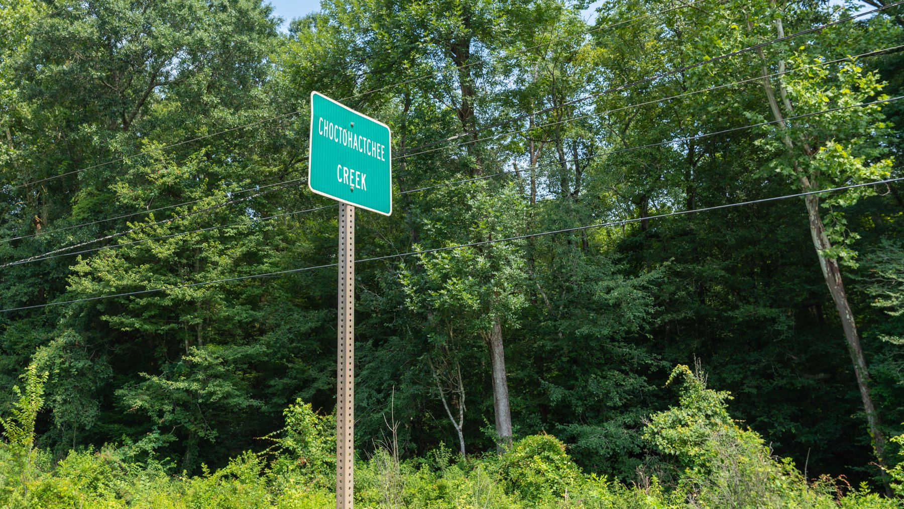 Image for The Minick Place - 204+/- Total Acres - Premium Recreational Tract - Row Crop Farmland - Choctahatchee Creek Frontage