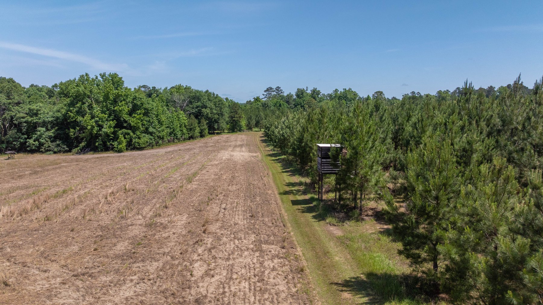 Image for 176+/- Acres - 6,546+/- SF Custom Lodge w/ Stocked Ponds & Food Plots - Mature Timber & Rocky Creek Frontage
