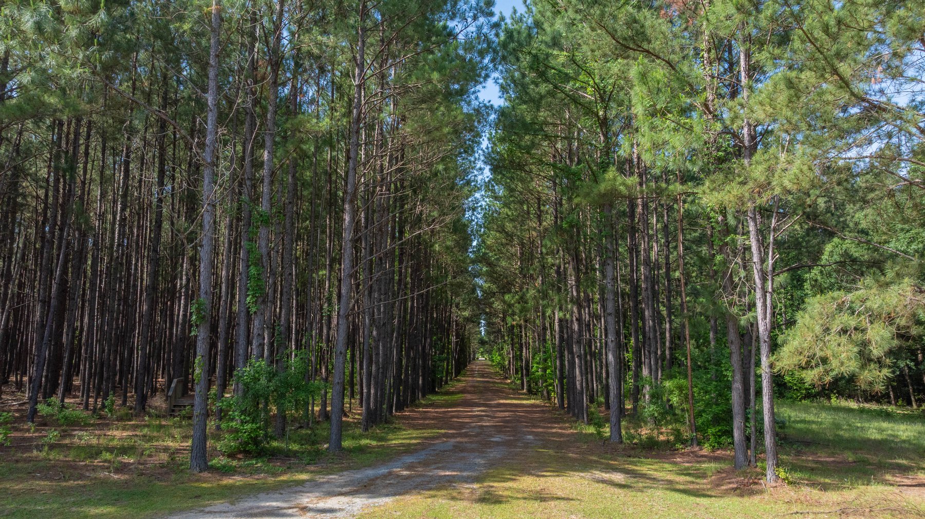 Image for 176+/- Acres - 6,546+/- SF Custom Lodge w/ Stocked Ponds & Food Plots - Mature Timber & Rocky Creek Frontage