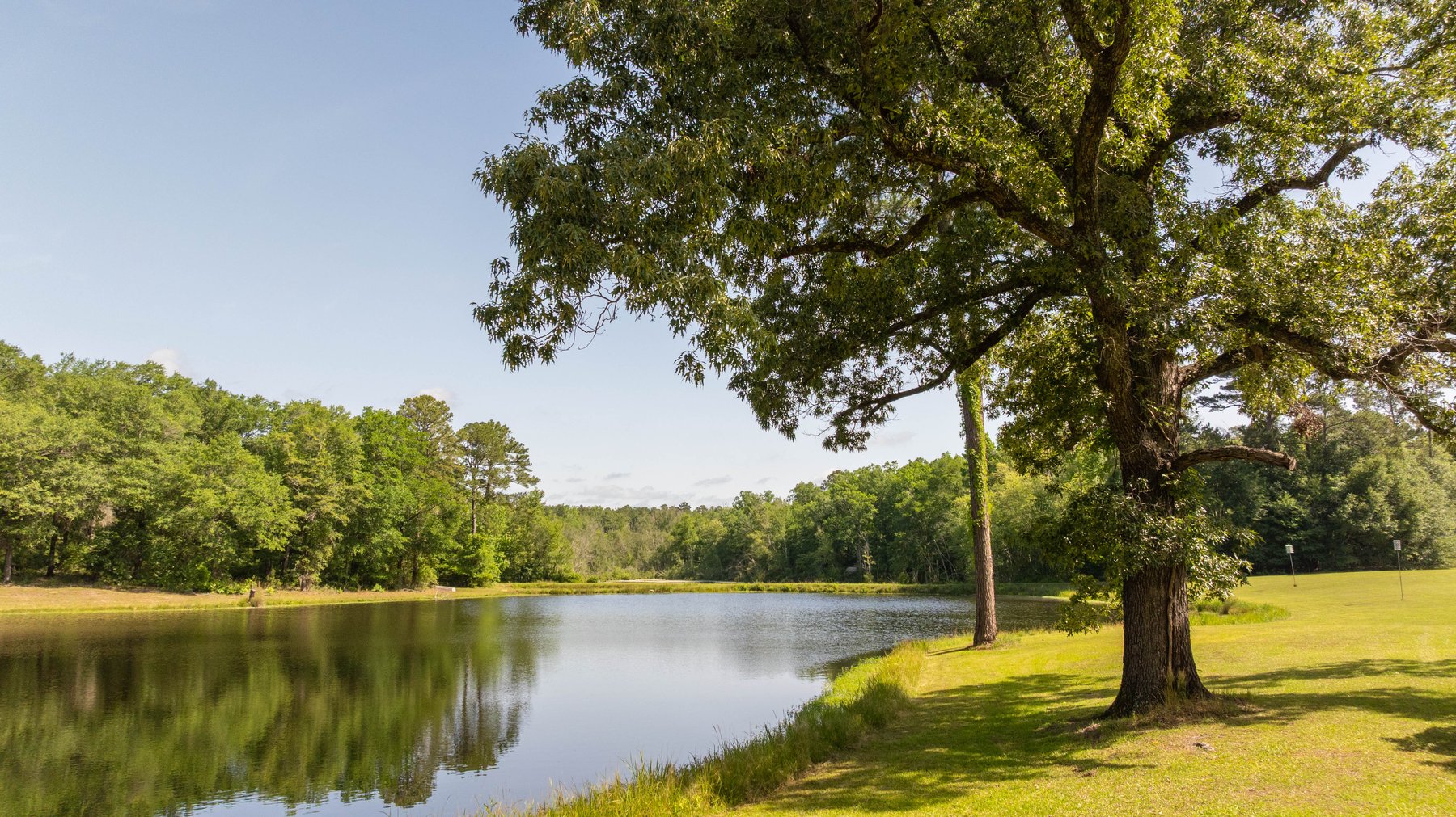 Image for 176+/- Acres - 6,546+/- SF Custom Lodge w/ Stocked Ponds & Food Plots - Mature Timber & Rocky Creek Frontage