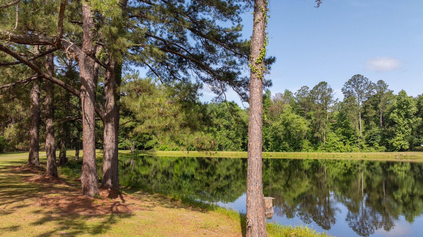 Image for 176+/- Acres - 6,546+/- SF Custom Lodge w/ Stocked Ponds & Food Plots - Mature Timber & Rocky Creek Frontage